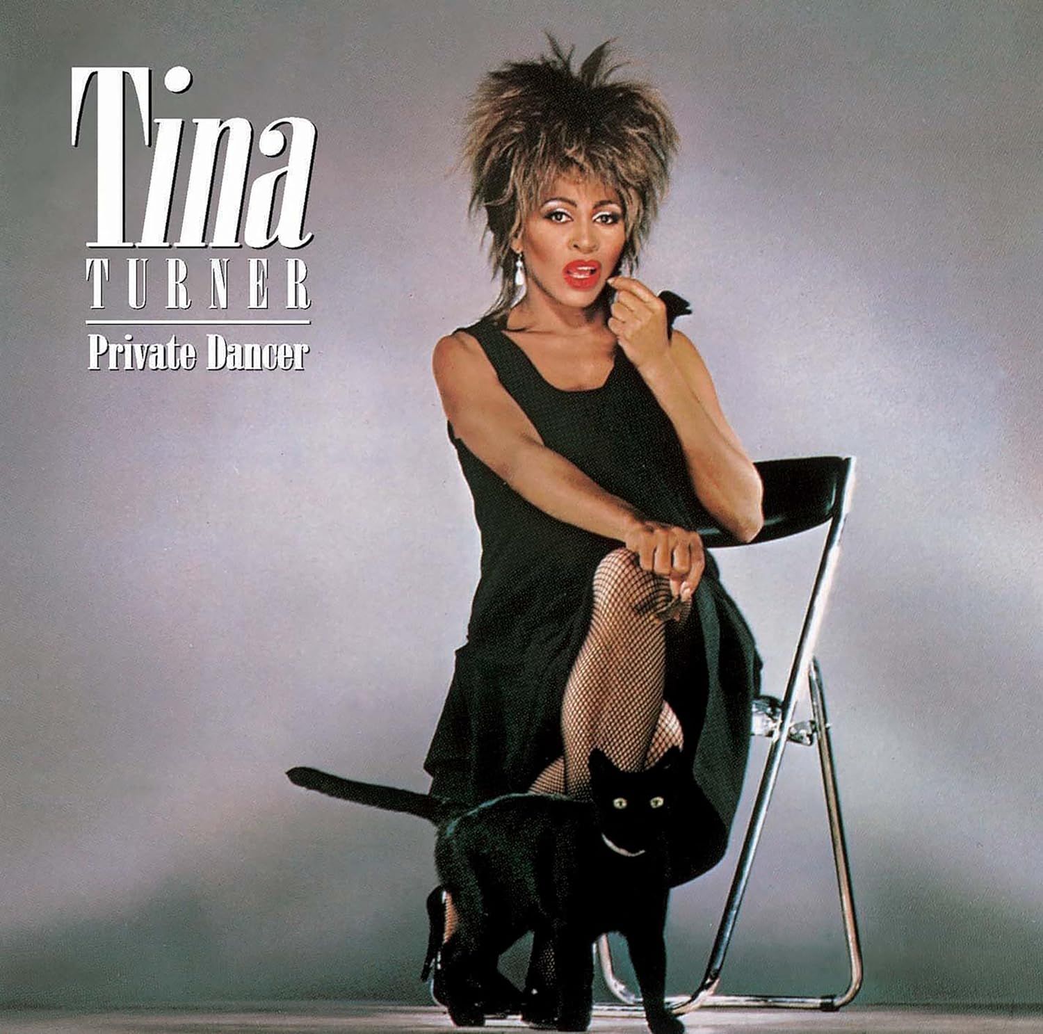 TINA TURNER Private Dancer REMASTERED 180gm NEW &amp; SEALED