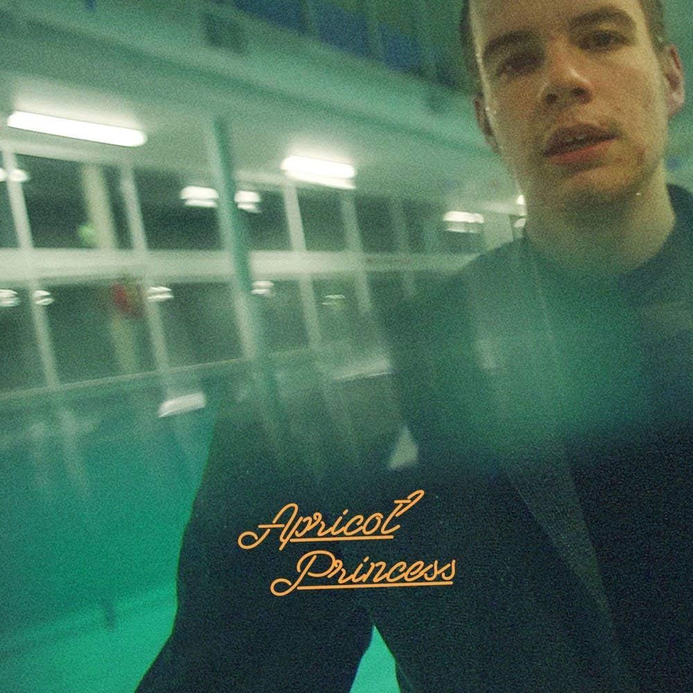 REX ORANGE COUNTY Apricot Princess ORANGE VINYL NEW &amp; SEALED