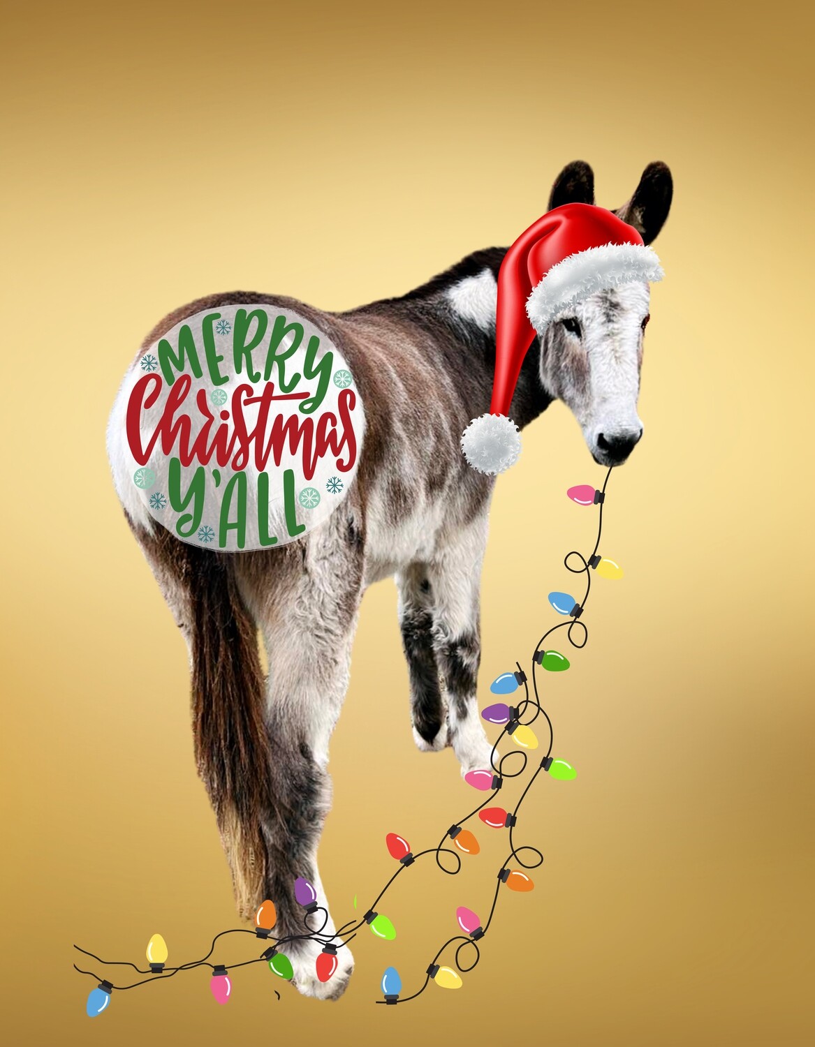 Elwood Donkey - Merry Christmas Y'all