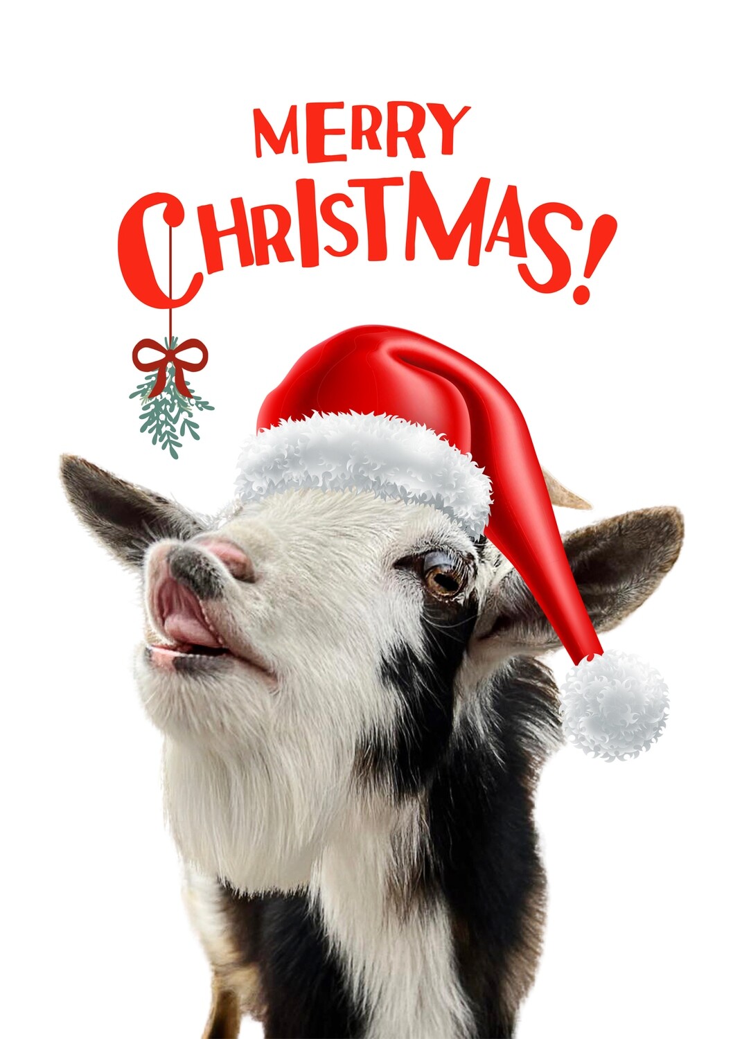 Winnie - Merry Christmas