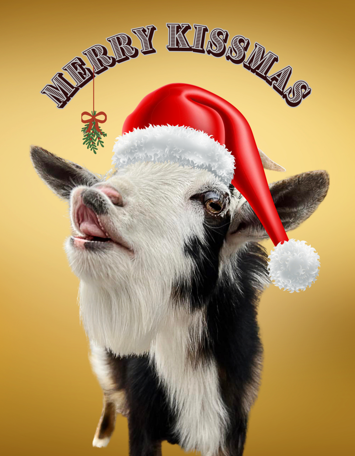 Winnie - MERRY KISSMAS