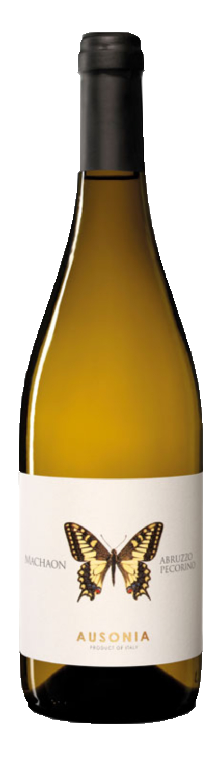 APOLLO MACHAON ABRUZZO PECORINO - DOP, 75cl APOLLO MACHAON ABRUZZO PECORINO - DOP, 75cl