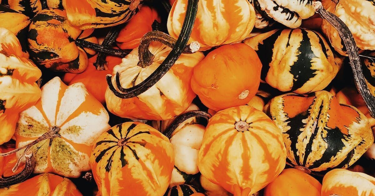 Wee-Be-Little (orange true mini pumpkin)bushel box approx 50ct