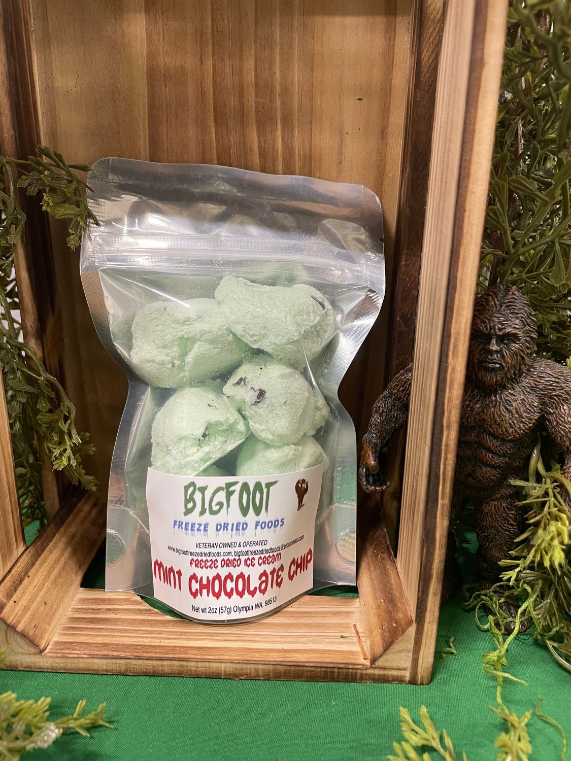 Mint Chocolate Chip Ice Cream-FREEZE DRIED-SMALLFOOT BAG