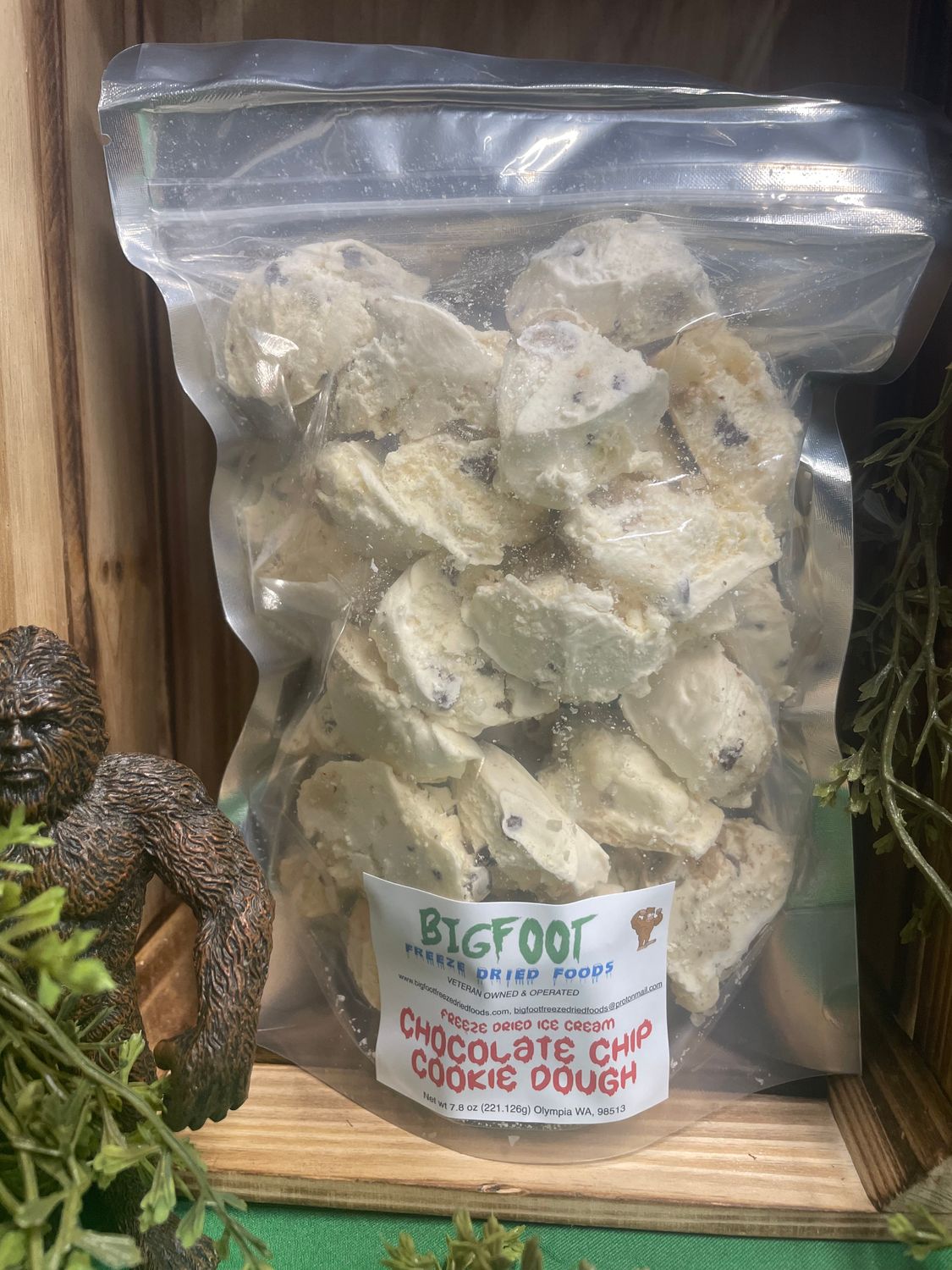 Chocolate Chip Cookie Dough-FREZE DRIED-Ice Cream-Big Bag