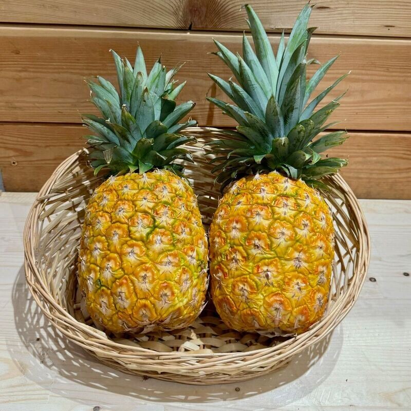 Ananas Sweat