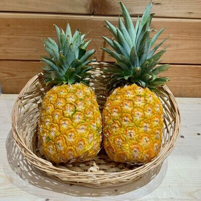 Ananas Sweat