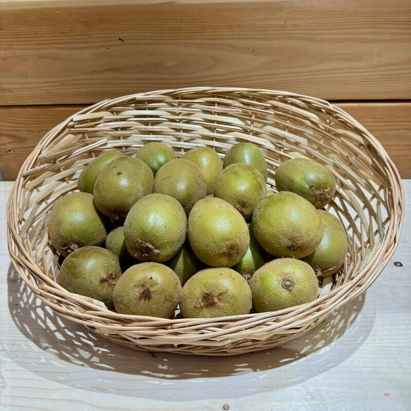Kiwi Jaune