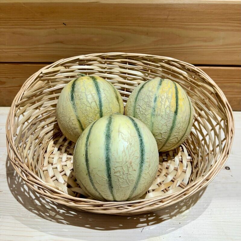 Melon
