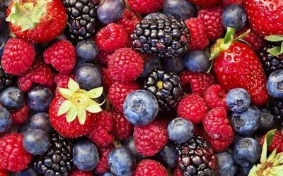 Fruits Rouges