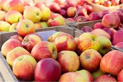 Pommes
