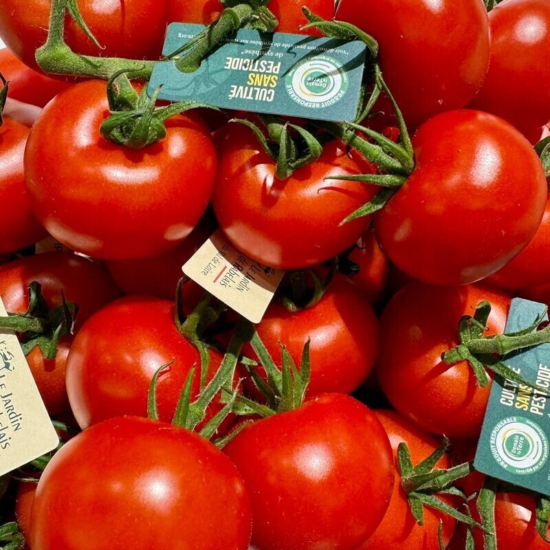 Tomates Râbelais