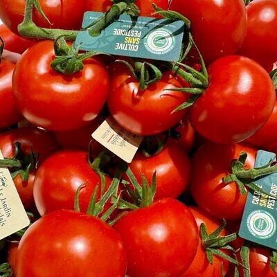 Tomates Râbelais