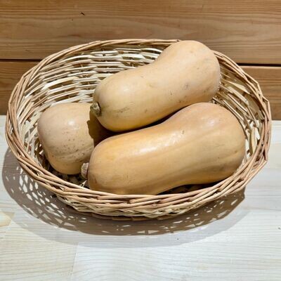 Butternut