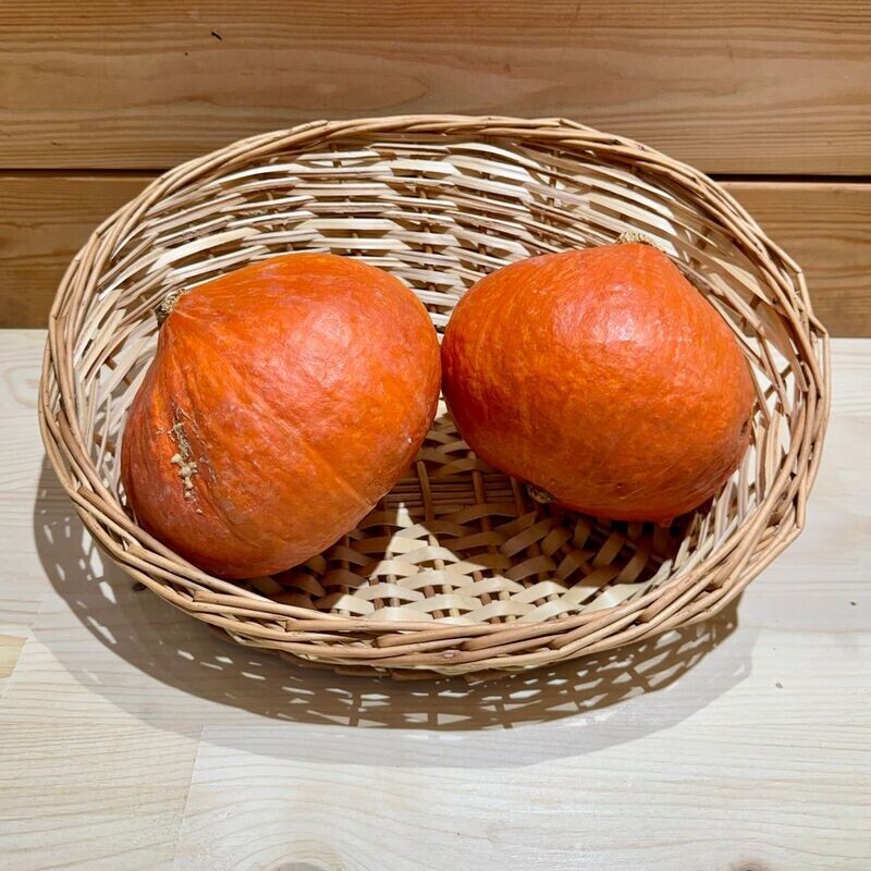 Potimarron