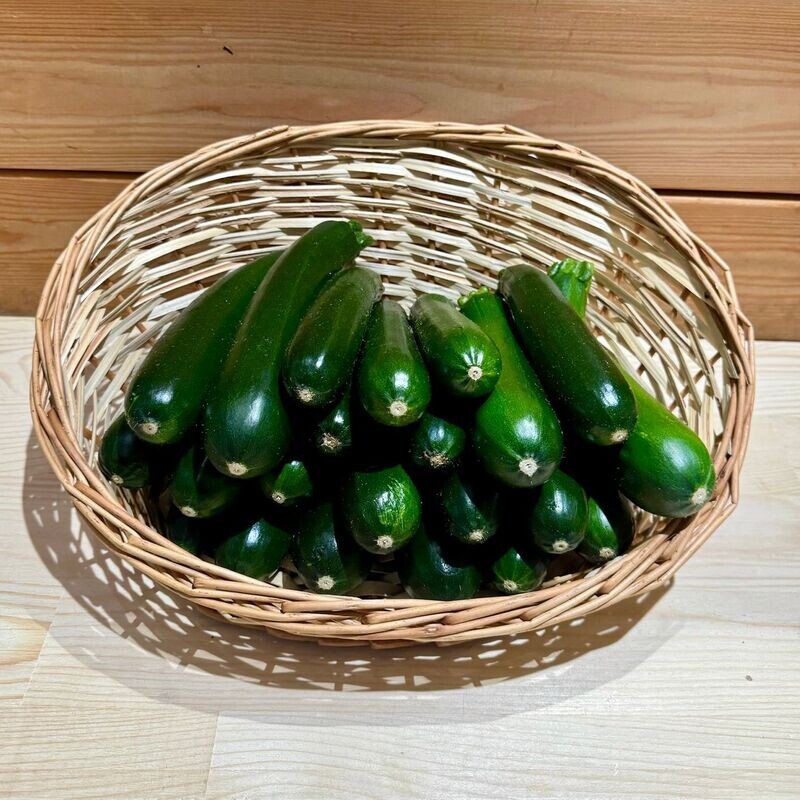 Courgette Verte