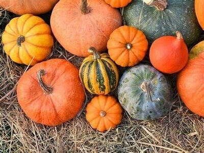 Courges