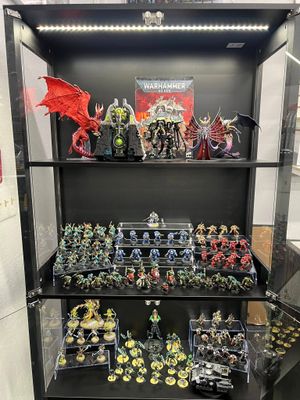 Painted Warhammer Figures