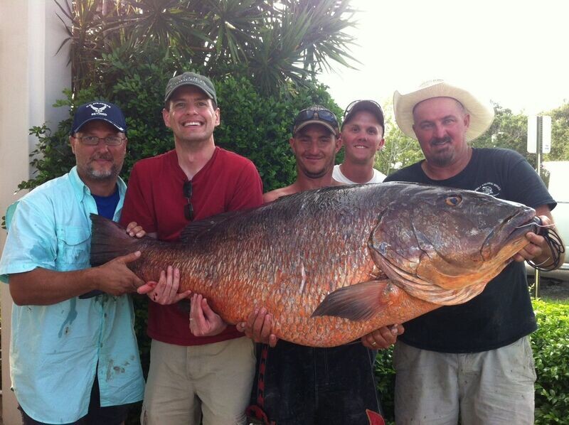 FHQ Grouper, Snapper, Cobia Lures