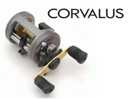 Corvalus