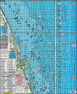 Kingfish Charts