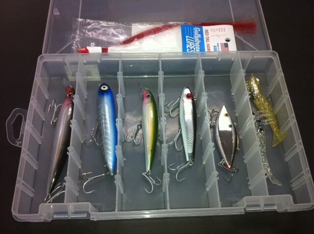 East Coast Snook Lure Assortment