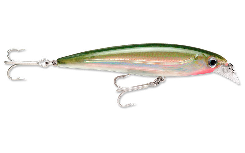 Favorite Snook lures Rapala SXR-10