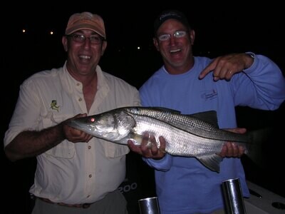 Snook Fishing Lures