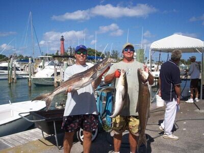 Cobia Lures