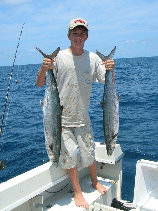 Mackerel and Kingfish Lures