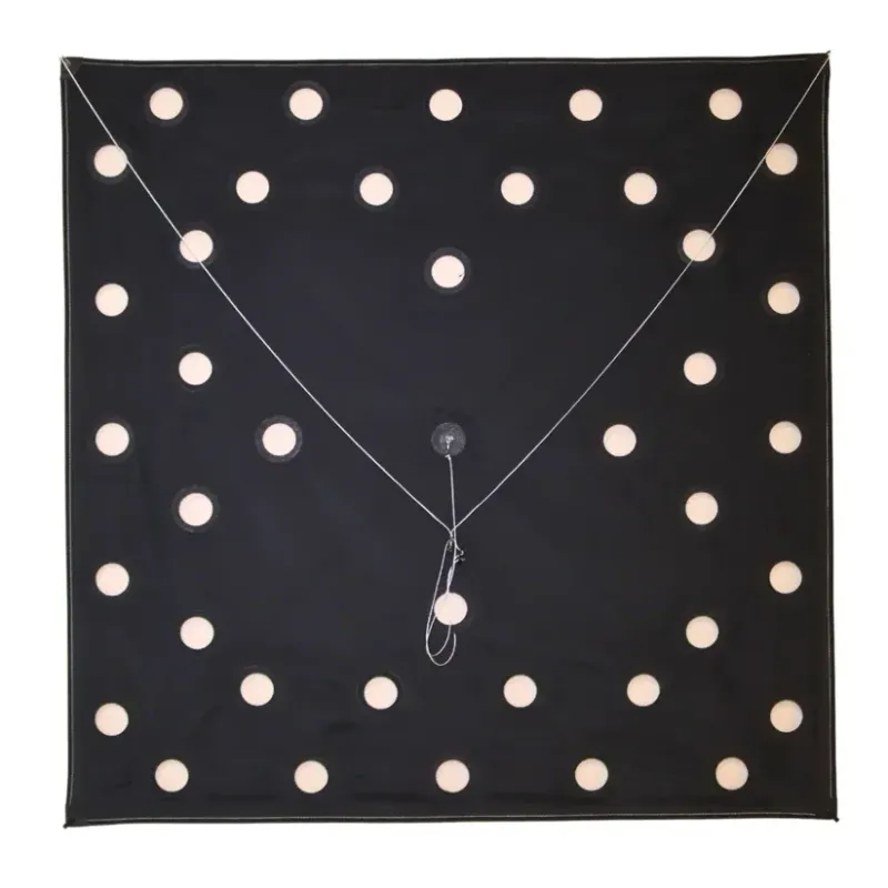 SFE Heavy Wind Fishing Kite 40