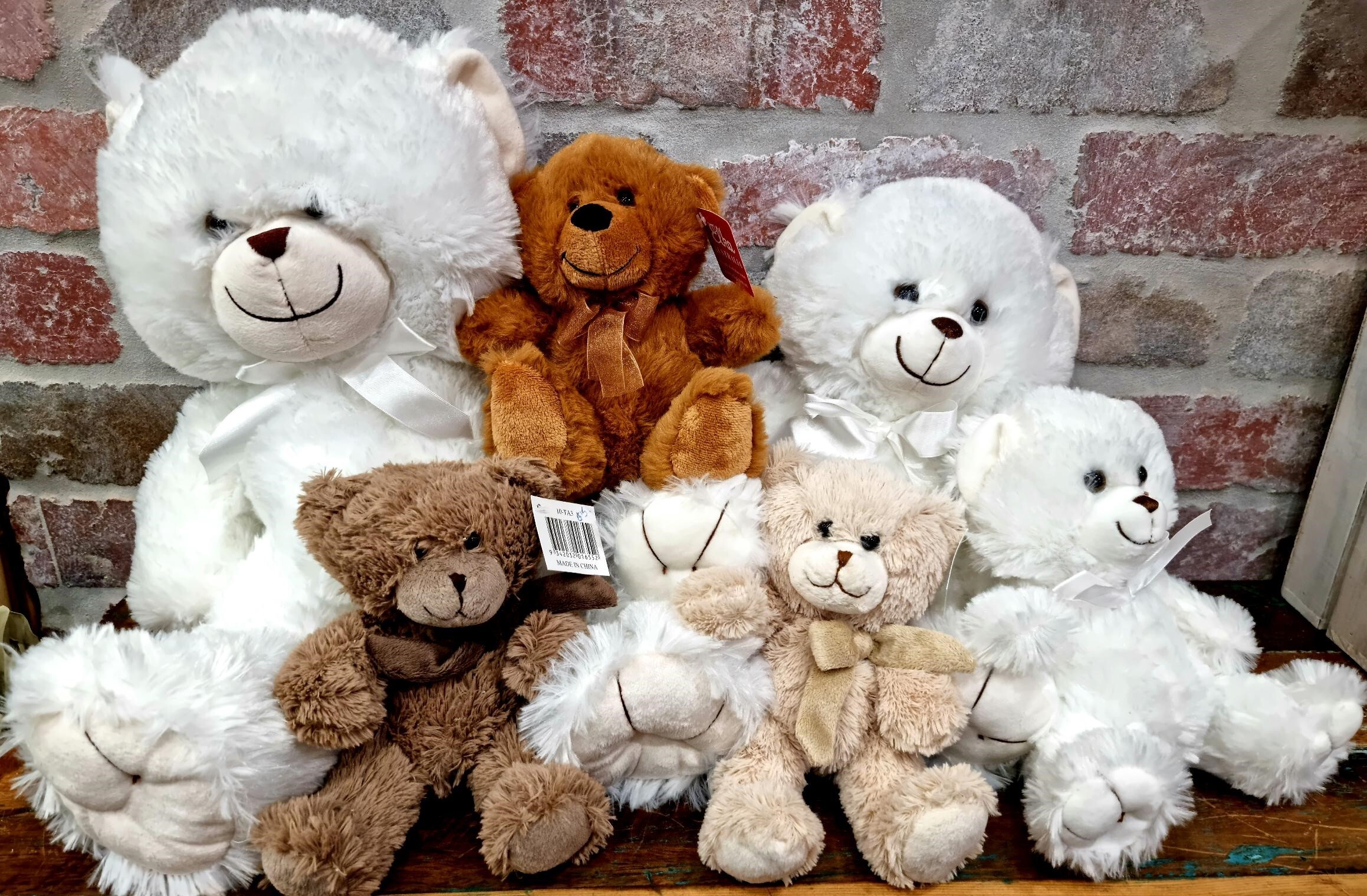 Teddy Bears large