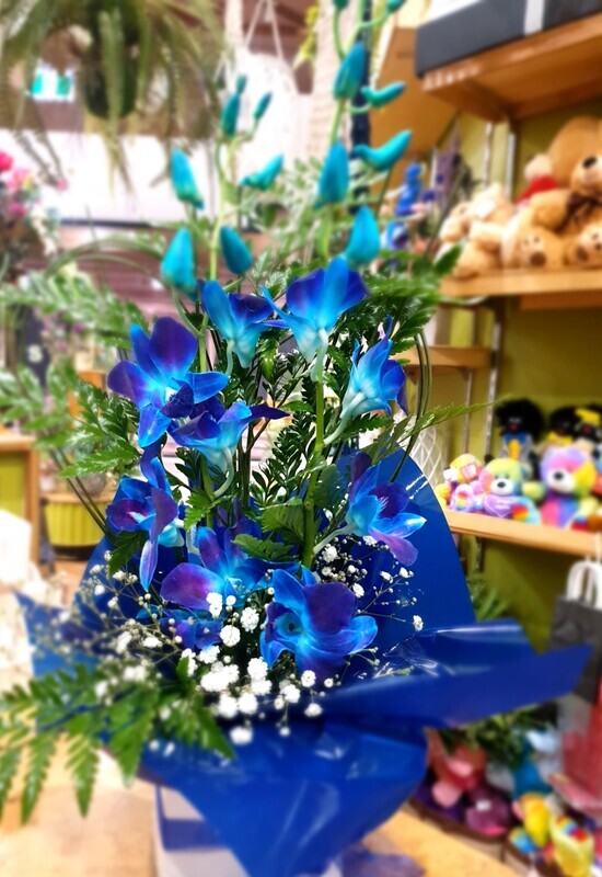 Blue Orchids Small