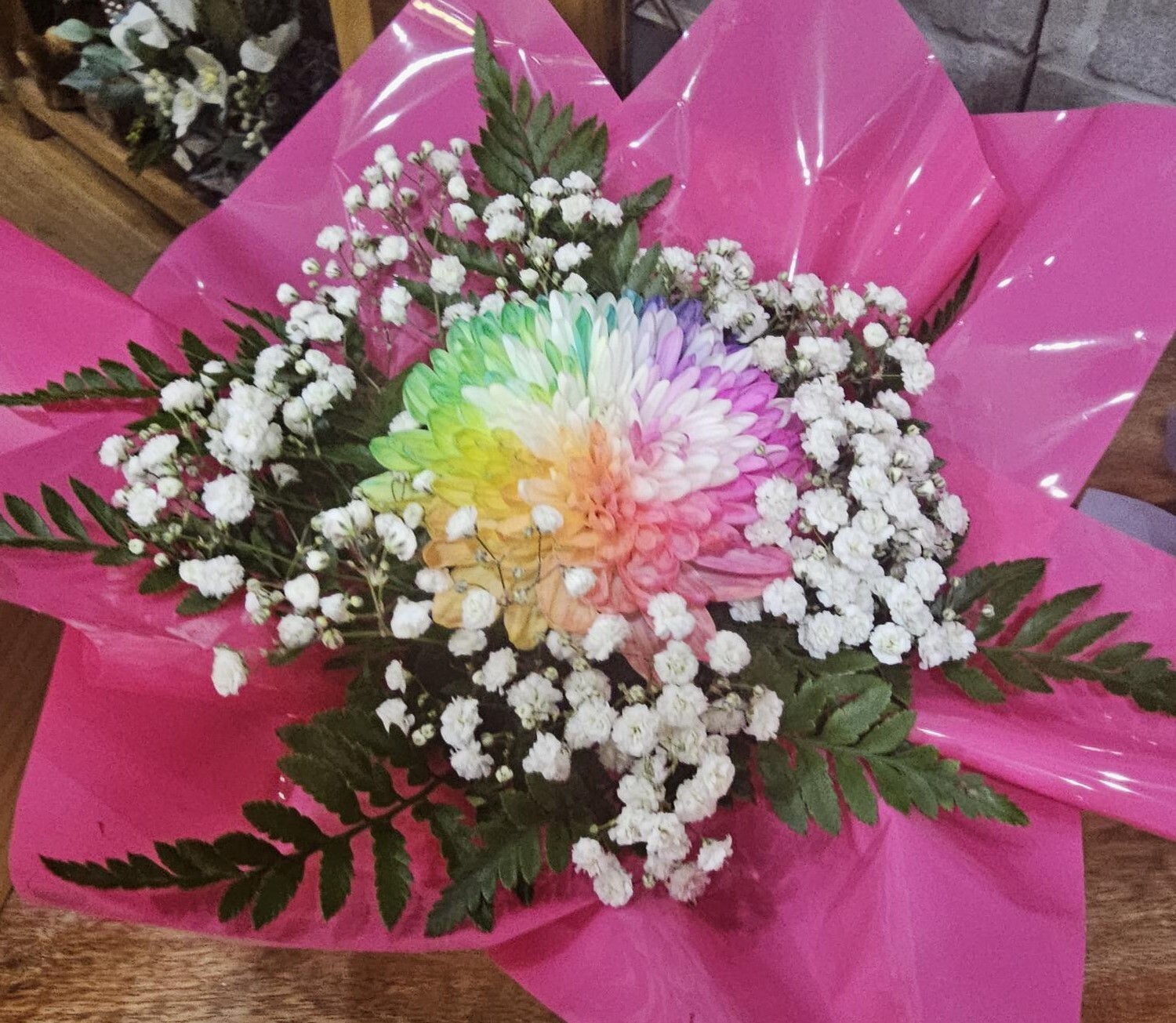 DISBUD IN BOX - IN A RANGE OF COLOURS