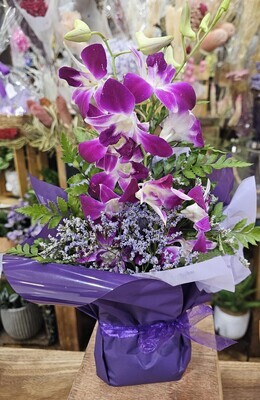 Purple orchids small