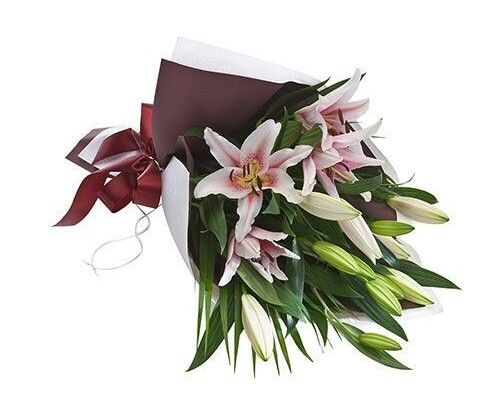 Lush Lilies