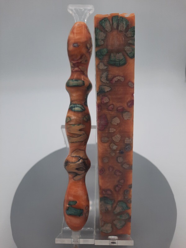 Multi dyed cross cut cholla cactus in orange resin - Handcrafted Custom Diamond Painting Pen