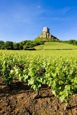 Rotweine Frankreich