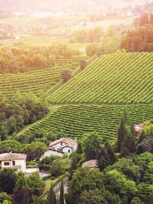 Schaumweine Italien
