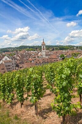 Schaumweine Schweiz