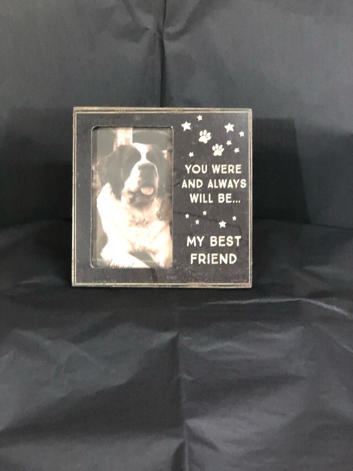 Pet sympathy frame