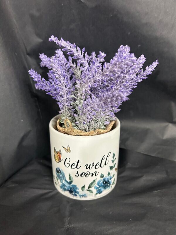 Get Well Soon lavender plant