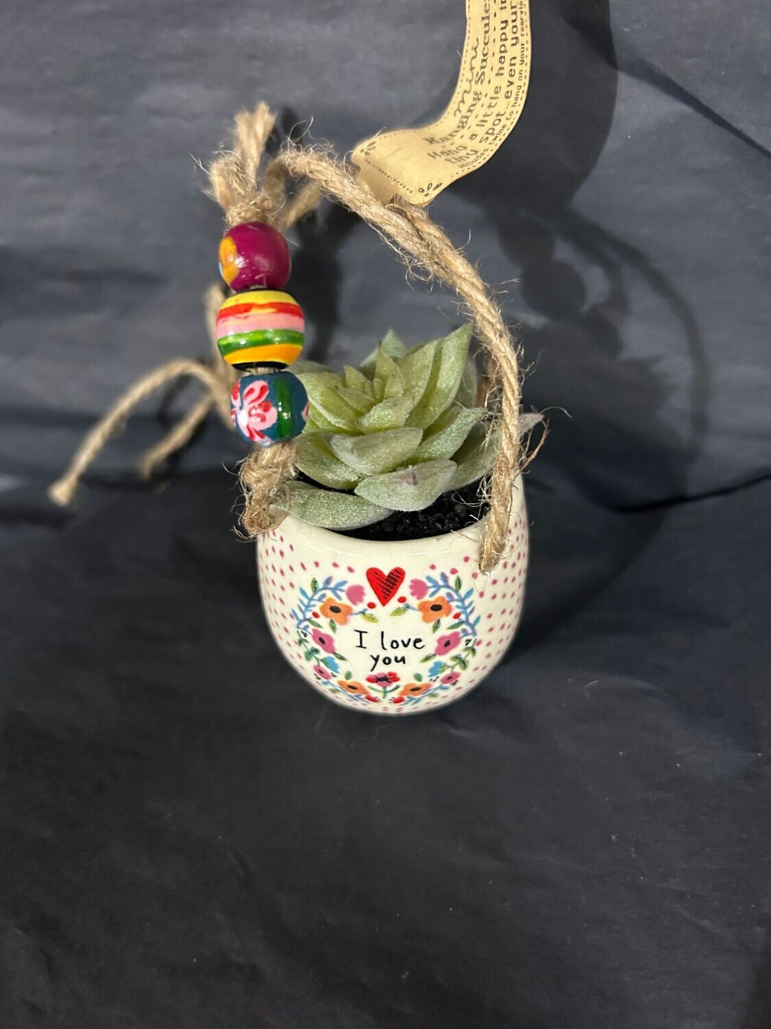 Natural Life succulent rear-view mirror hanging plant