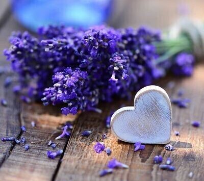 LAVENDER FRANGRANCE OIL