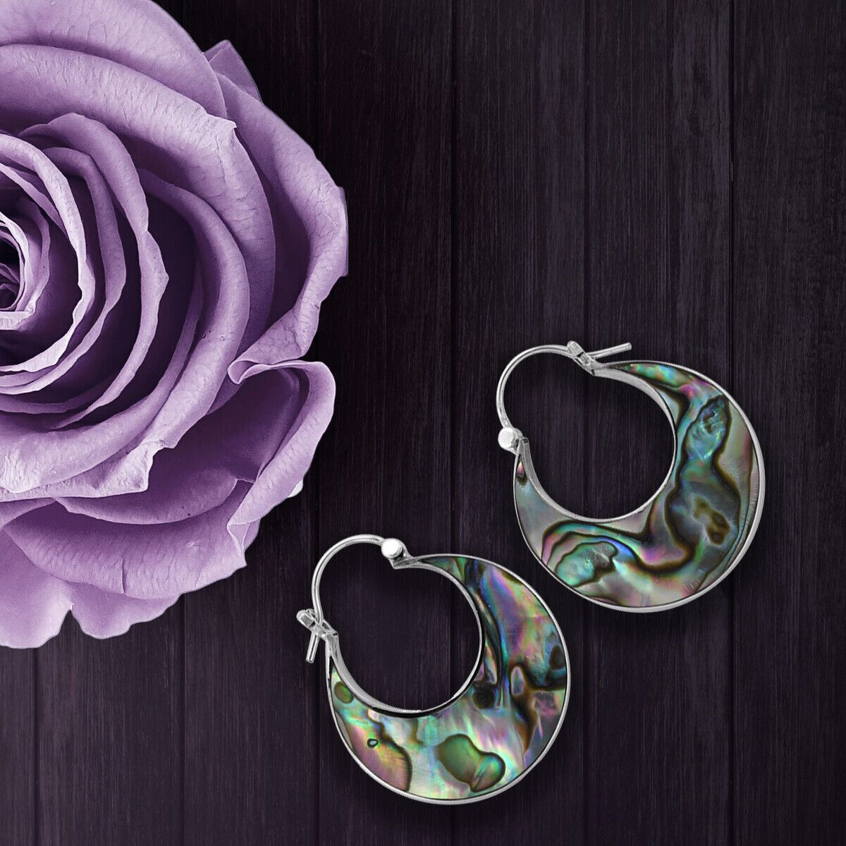Natural Abalone Shell Hoop 2.7cm Earrings