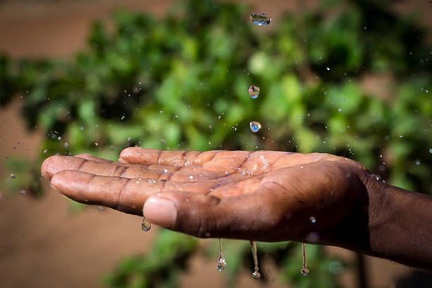 AFRICAN RAIN