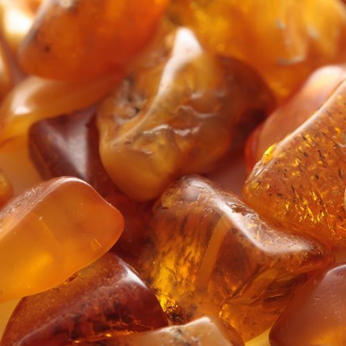 AMBER