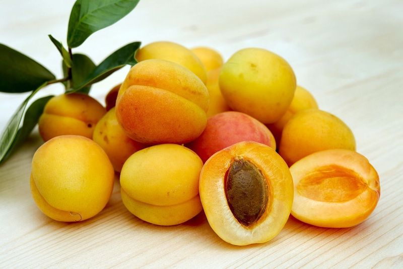 APRICOT HERB
