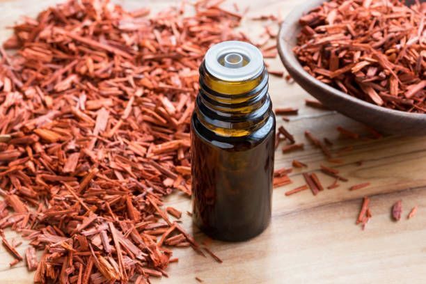 EGYPTIAN SANDALWOOD