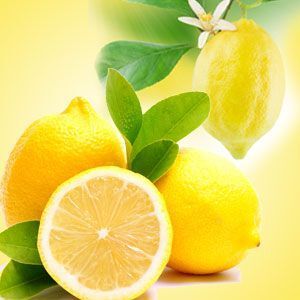 FRESH LEMON